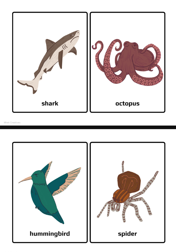 Flash Cards sample 2